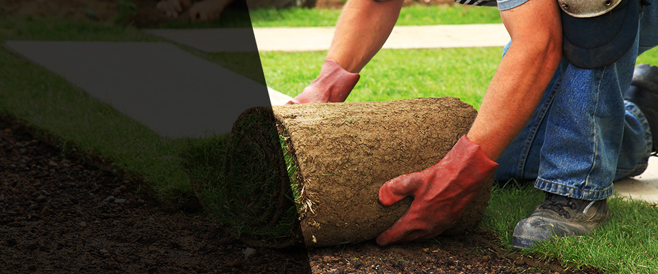 Ranchos De Taos Landscapers